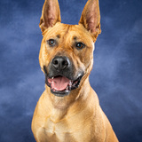 Entry image for Donald