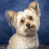 Entry image for Libby