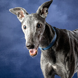 Entry image for Randy