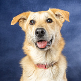 Entry image for Jinx