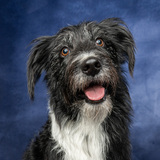 Entry image for Chloe