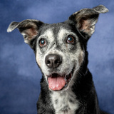 Entry image for Mayley