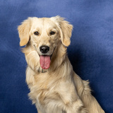 Entry image for Tootie