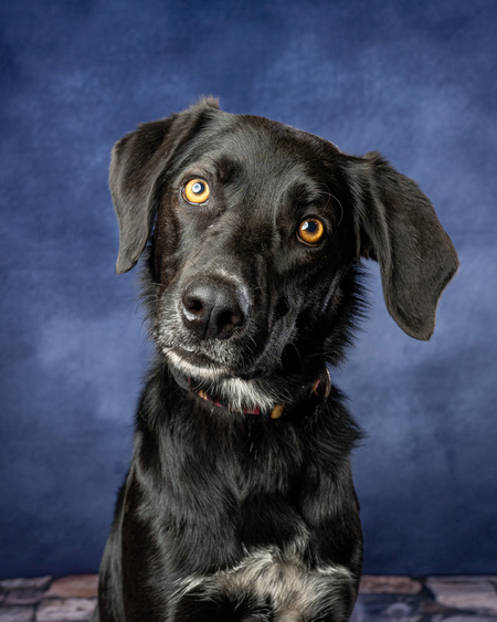 Entry image for Betty. Clicking this image will show a larger photo