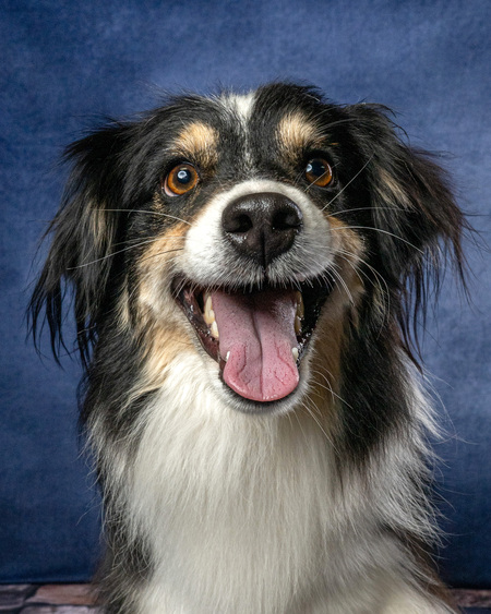 Entry image for Rip. Clicking this image will show a larger photo