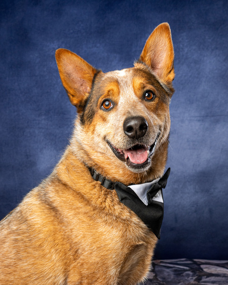 Entry image for Reef. Clicking this image will show a larger photo