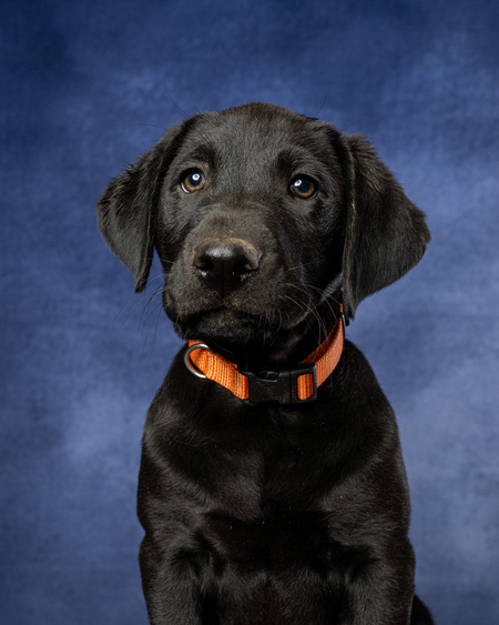 Entry image for General Mattis. Clicking this image will show a larger photo