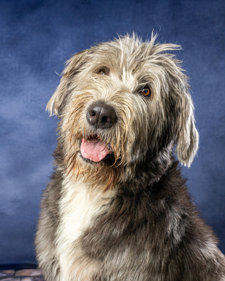 Entry image for Walt. Clicking this image will show a larger photo