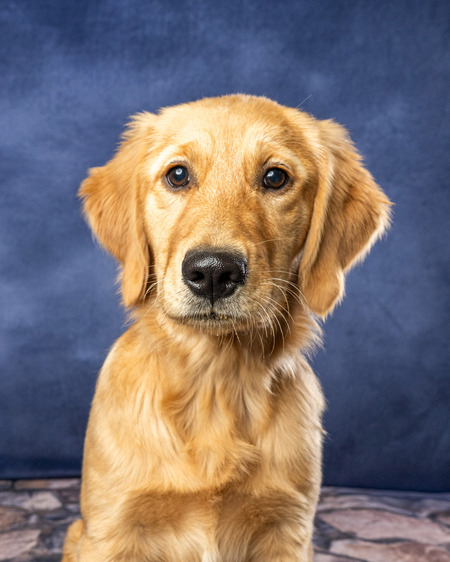 Entry image for Sunni. Clicking this image will show a larger photo