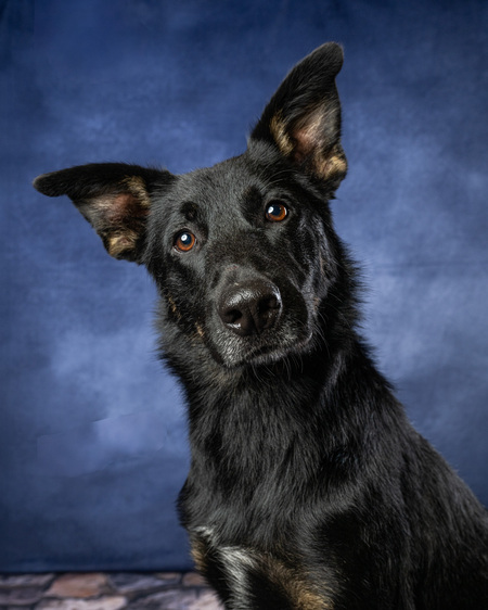 Entry image for Sixx. Clicking this image will show a larger photo