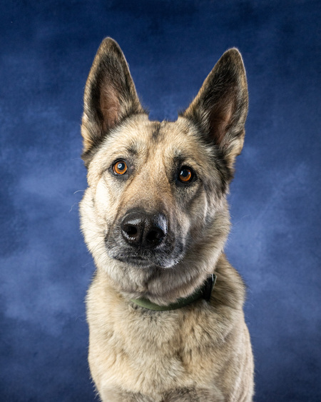 Entry image for Hawaii. Clicking this image will show a larger photo