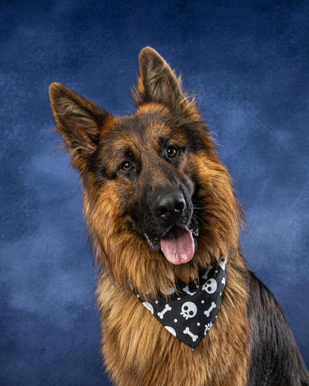 Entry image for Sam. Clicking this image will show a larger photo