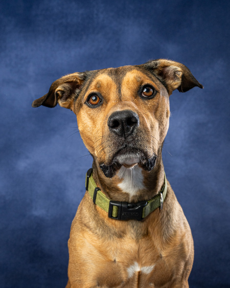 Entry image for Biff. Clicking this image will show a larger photo