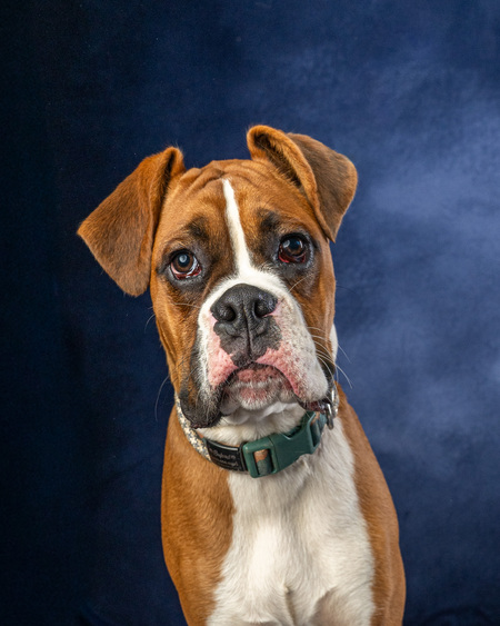 Entry image for Buford. Clicking this image will show a larger photo