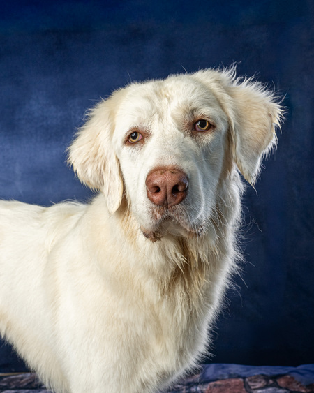 Entry image for Snow. Clicking this image will show a larger photo