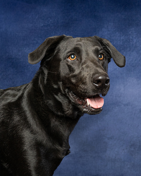 Entry image for Sabine. Clicking this image will show a larger photo