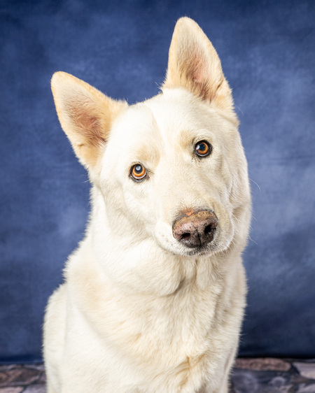 Entry image for Echo. Clicking this image will show a larger photo