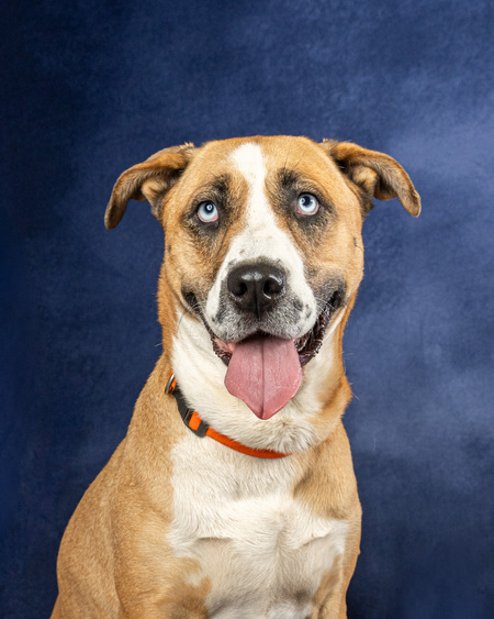 Entry image for Winnie. Clicking this image will show a larger photo