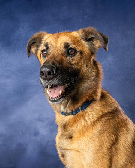 Entry image for Arthur. Clicking this image will show a larger photo