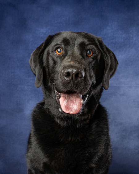 Entry image for Odin. Clicking this image will show a larger photo