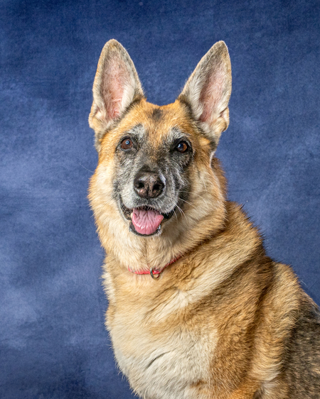 Entry image for Journey. Clicking this image will show a larger photo