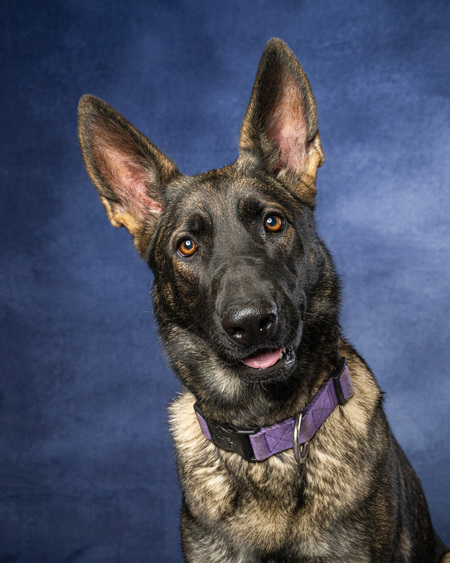 Entry image for Zoe. Clicking this image will show a larger photo