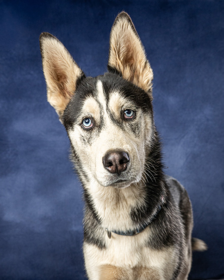 Entry image for Dean. Clicking this image will show a larger photo