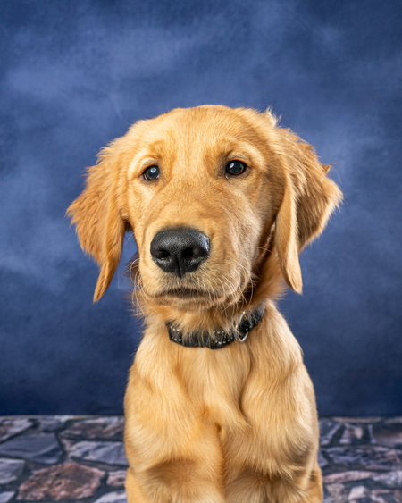 Entry image for Copper. Clicking this image will show a larger photo