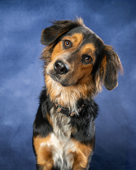 Entry image for Jasmine. Clicking this image will show a larger photo