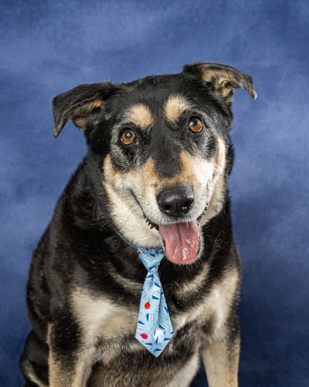 Entry image for Bridger. Clicking this image will show a larger photo