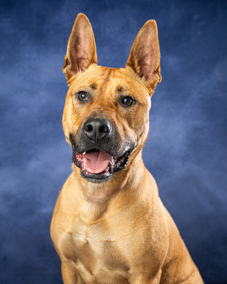 Entry image for Donald. Clicking this image will show a larger photo