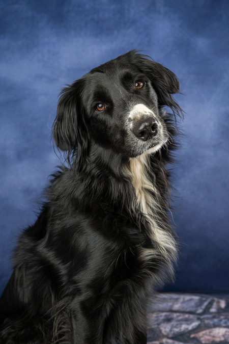 Entry image for Spencer. Clicking this image will show a larger photo