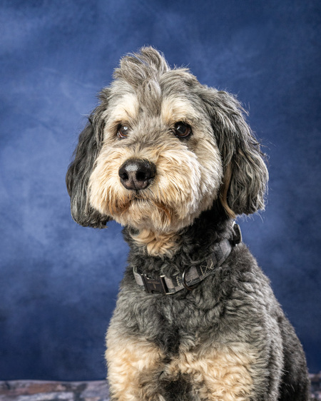 Entry image for Ted Doodles. Clicking this image will show a larger photo