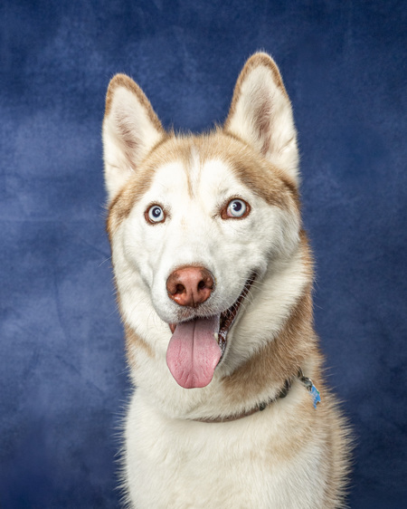 Entry image for Cedar. Clicking this image will show a larger photo