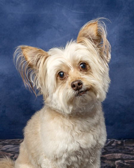 Entry image for Libby. Clicking this image will show a larger photo