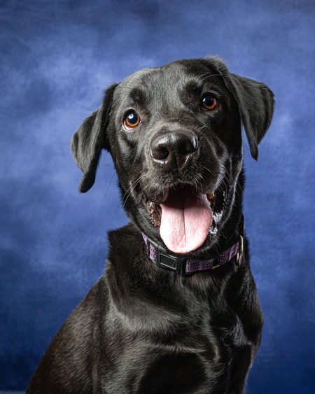 Entry image for Parker. Clicking this image will show a larger photo