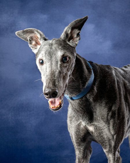 Entry image for Randy. Clicking this image will show a larger photo