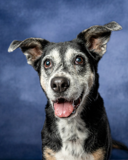 Entry image for Mayley. Clicking this image will show a larger photo