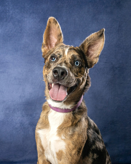 Entry image for Charlie. Clicking this image will show a larger photo