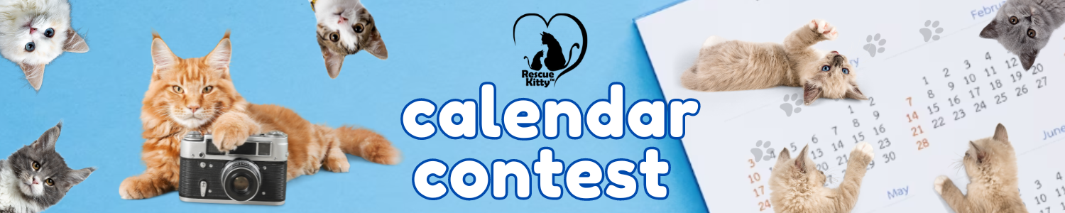 Banner for Rescue Kitty 2026 Calendar Contest