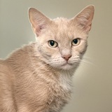 Entry image for Doug