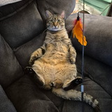 Entry image for Big Boy Reggie