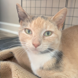 Entry image for Puddles