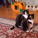 Entry image for Moe and Annie