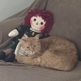 Entry image for Roxy