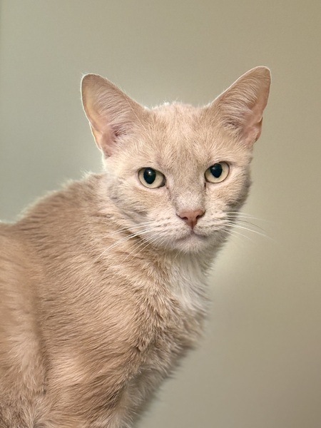 Entry image for Doug. Clicking this image will show a larger photo