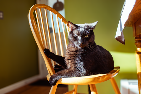 Entry image for Hawkins. Clicking this image will show a larger photo