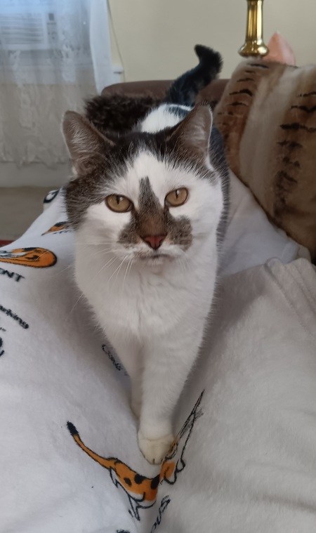 Entry image for Lana. Clicking this image will show a larger photo