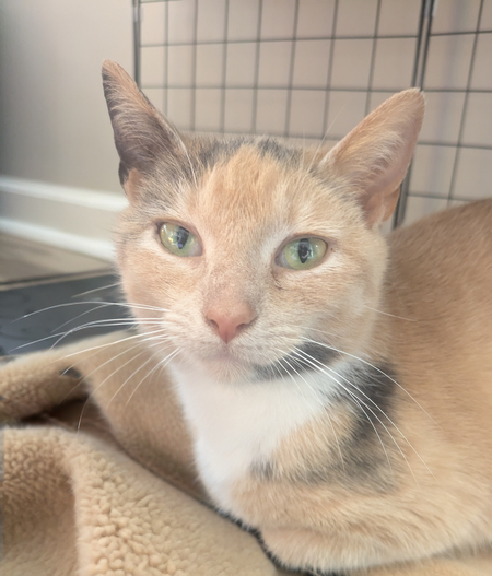 Entry image for Puddles. Clicking this image will show a larger photo