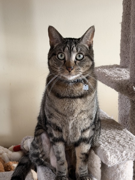 Entry image for Tony. Clicking this image will show a larger photo